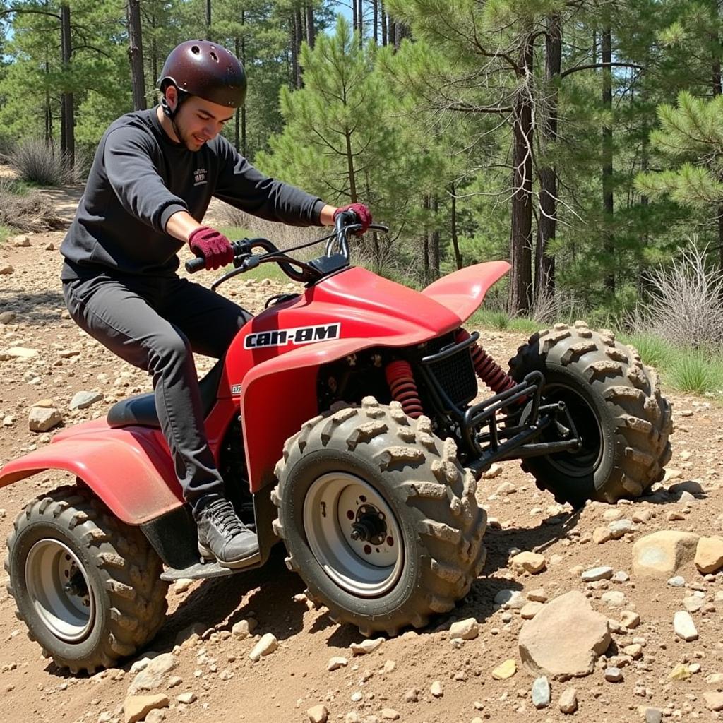 1986 Can-Am ASE 200 in Action