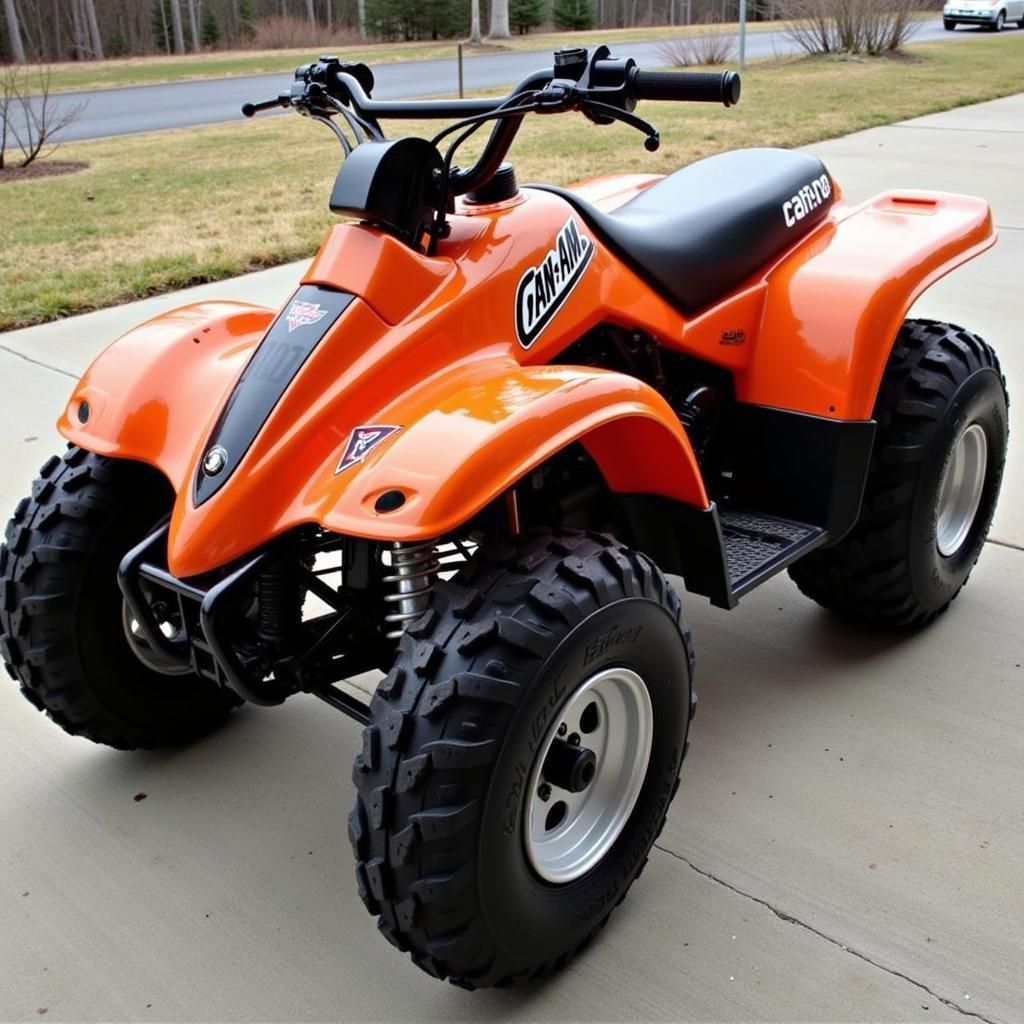 Restored 1986 Can-Am ASE 200