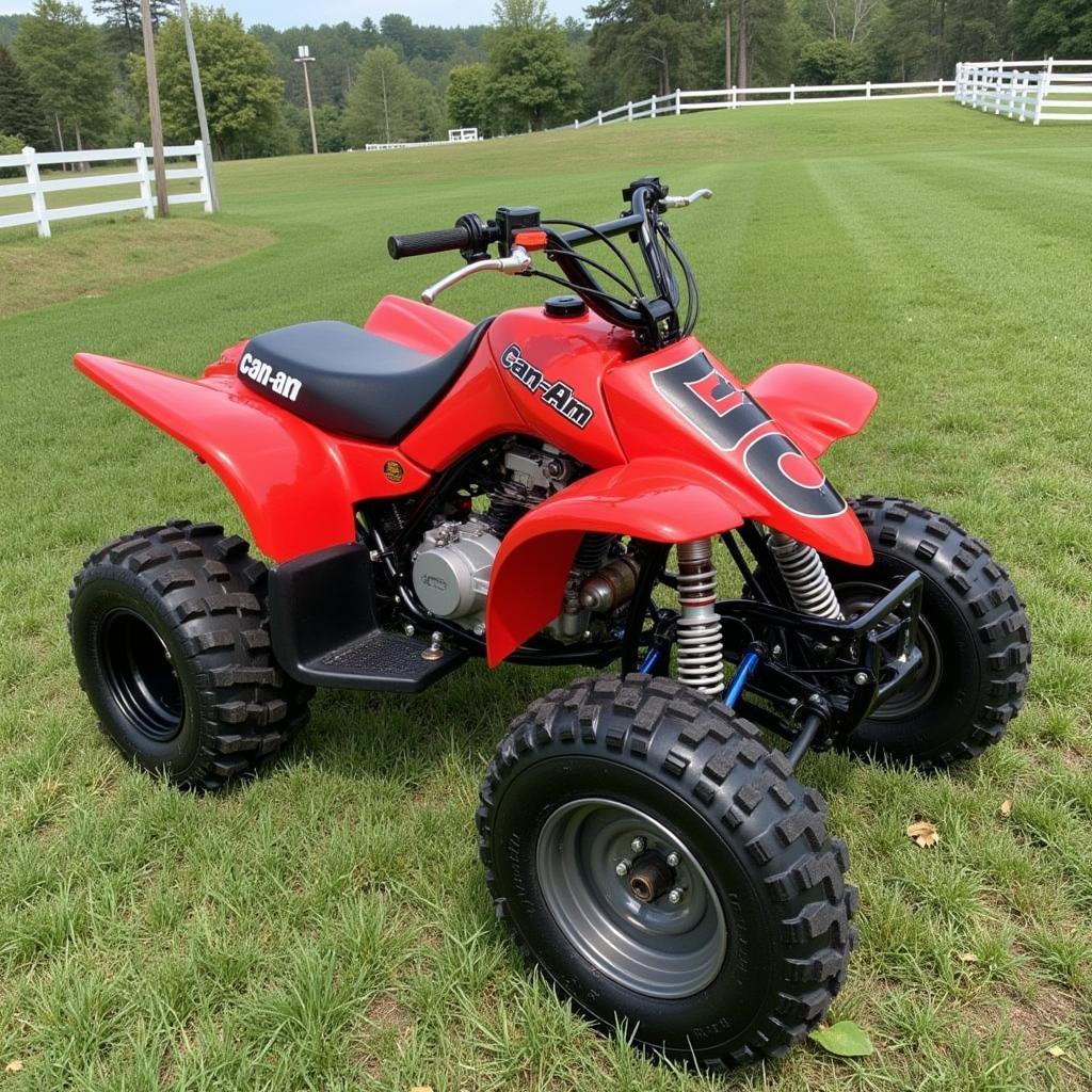 Restored 1986 Can-Am ASE 250