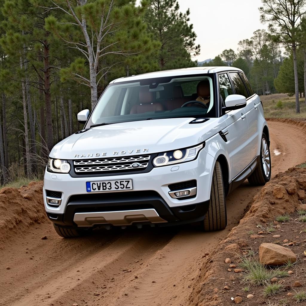 2016 Range Rover Sport HSE Light ASE Off-Road Capabilities