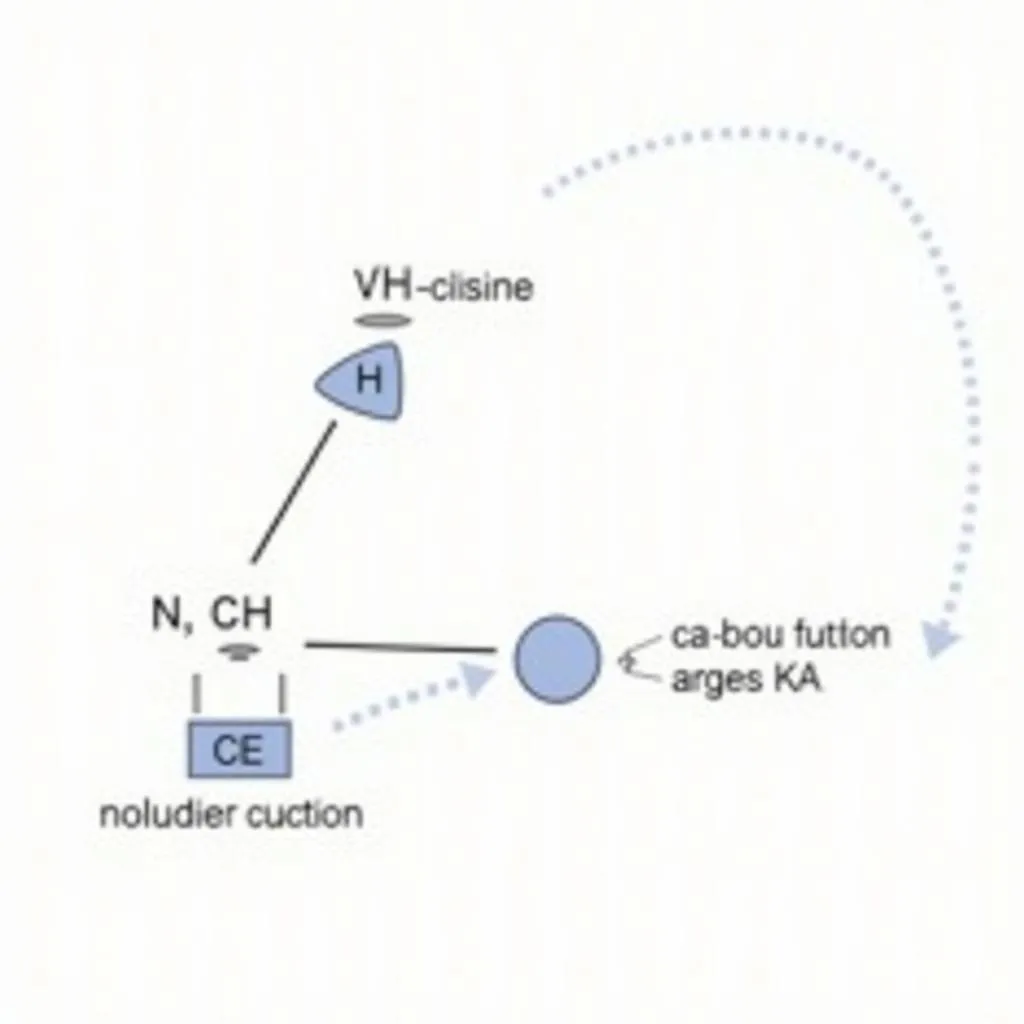 Regulation of Acetyl CoA Carboxylase Activity