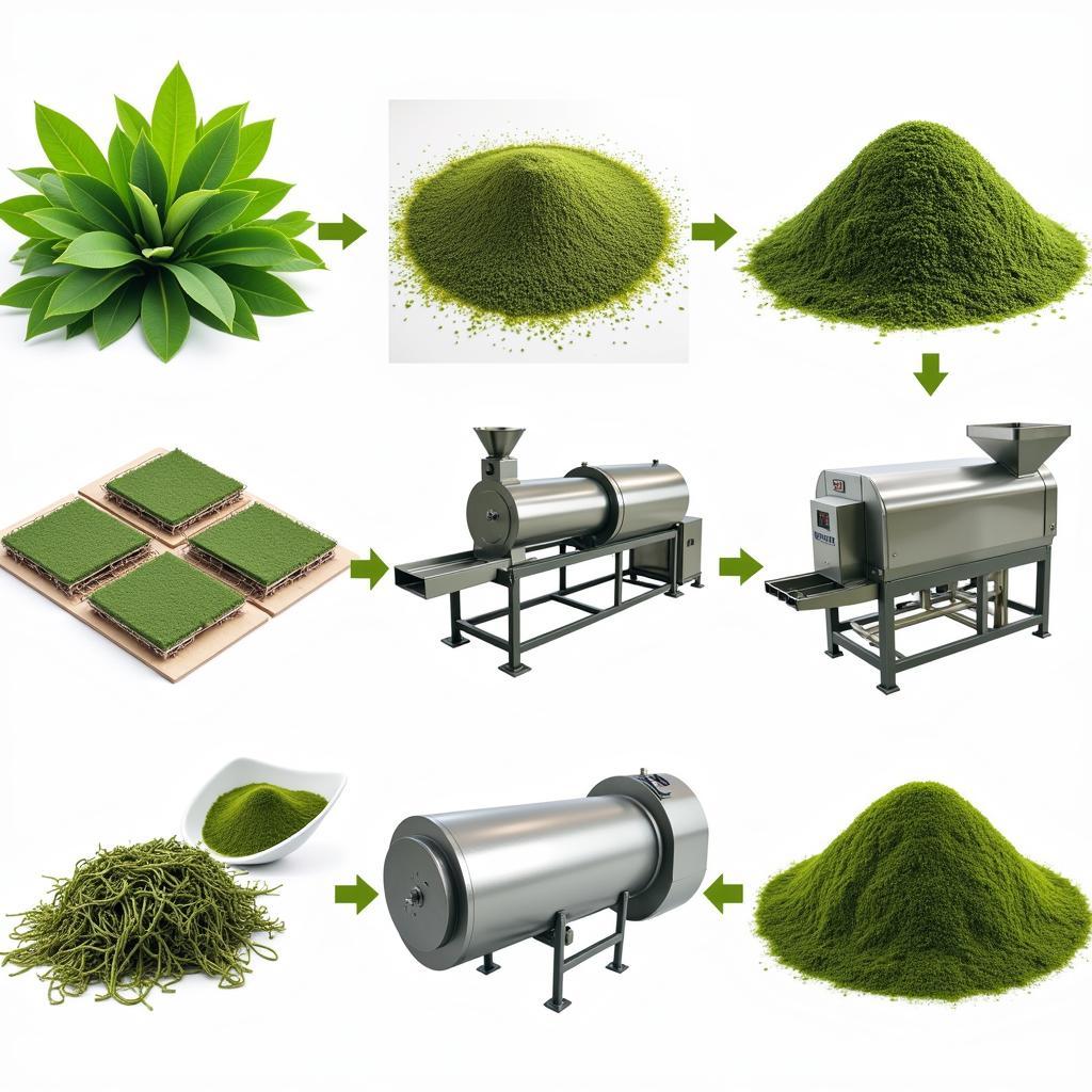 Algae Processing for Meat Filler Production