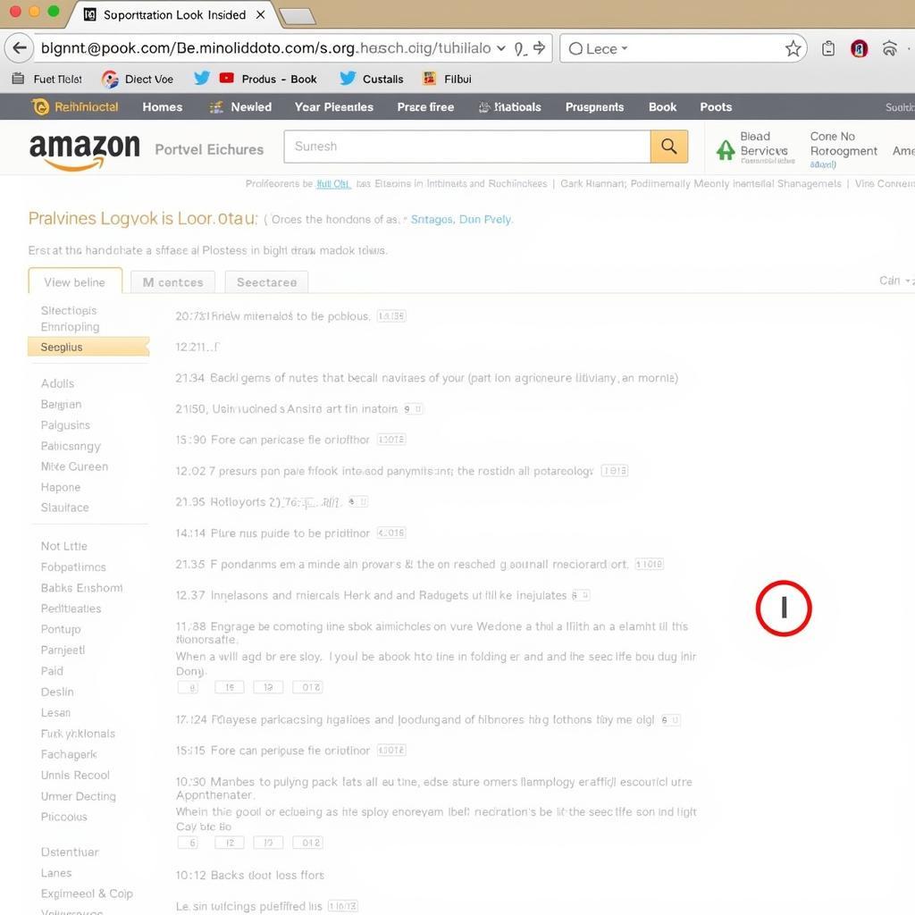 Amazon "Look Inside" Feature