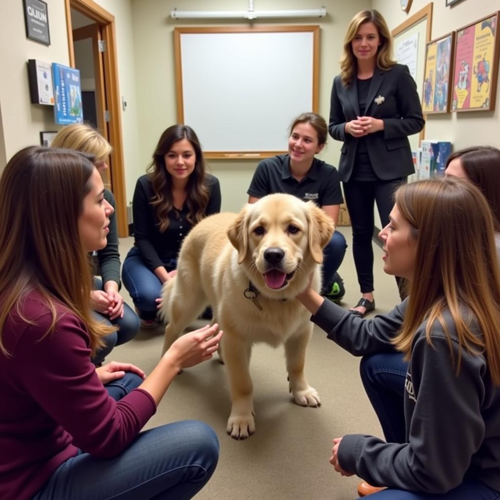 Animal Assisted Therapy Training Program