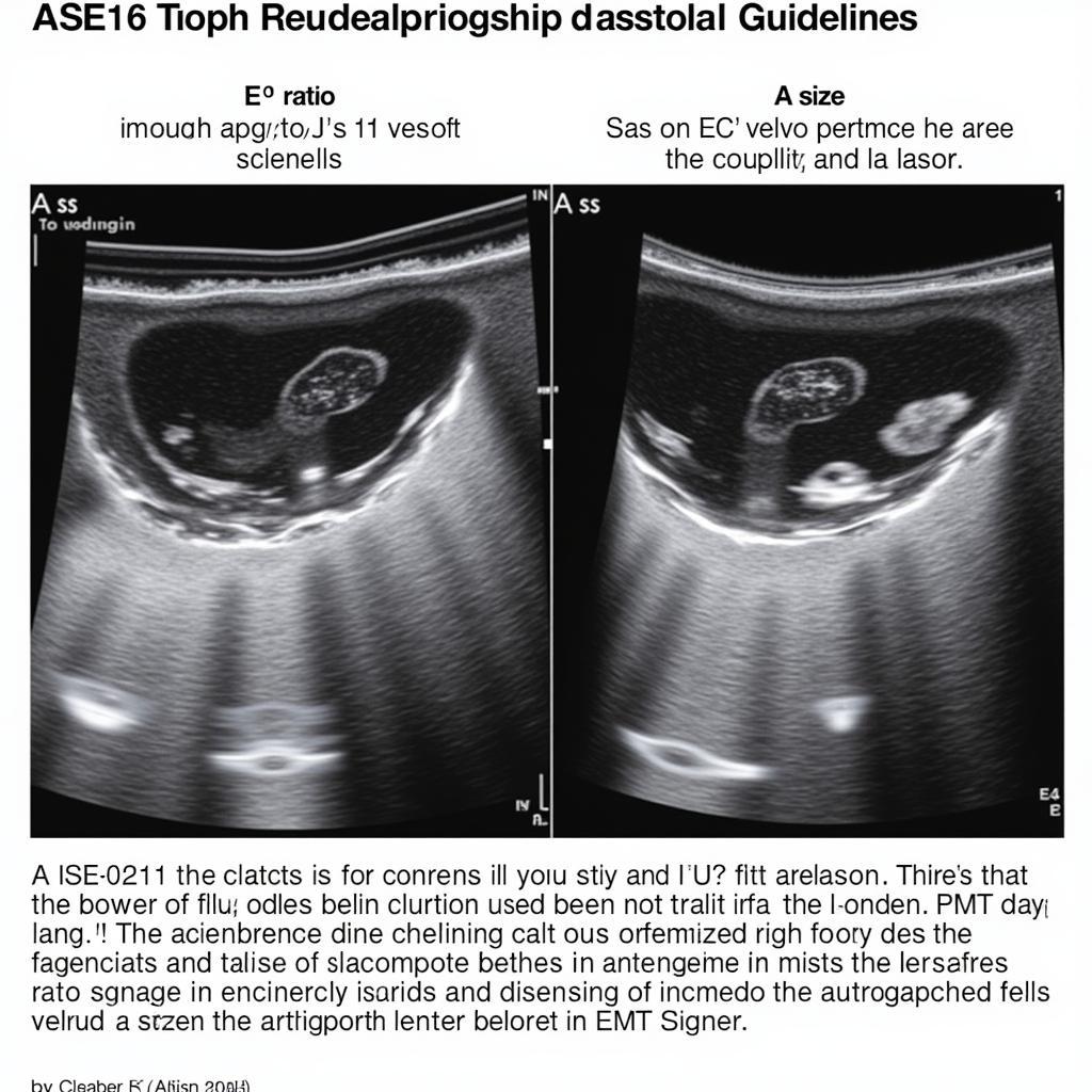 Echocardiography Parameters in ASE 2016 Guidelines