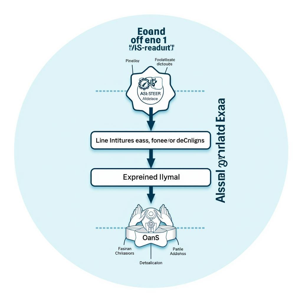 ASE Board Exam Structure