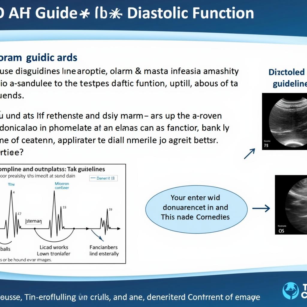 ASE Diastolic Function Guidelines PPT