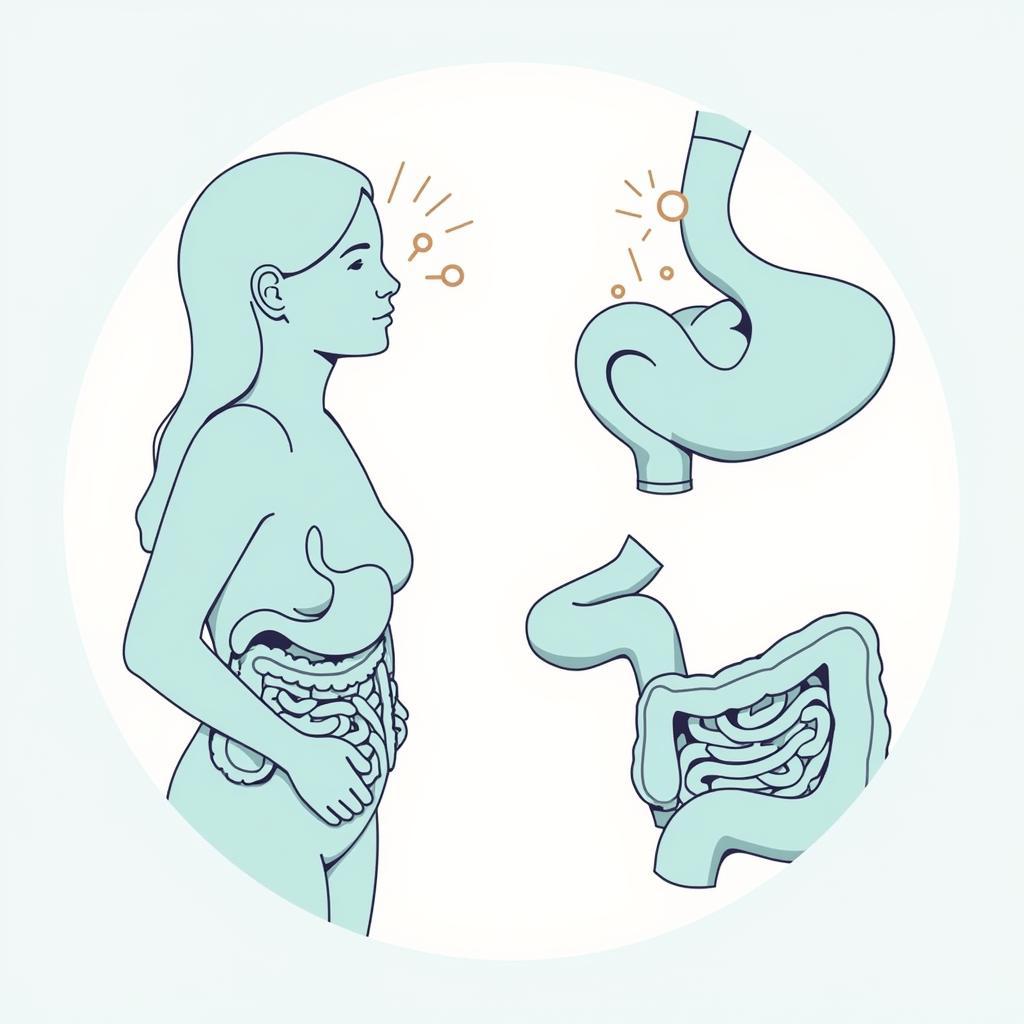 Asea and Digestive Discomfort