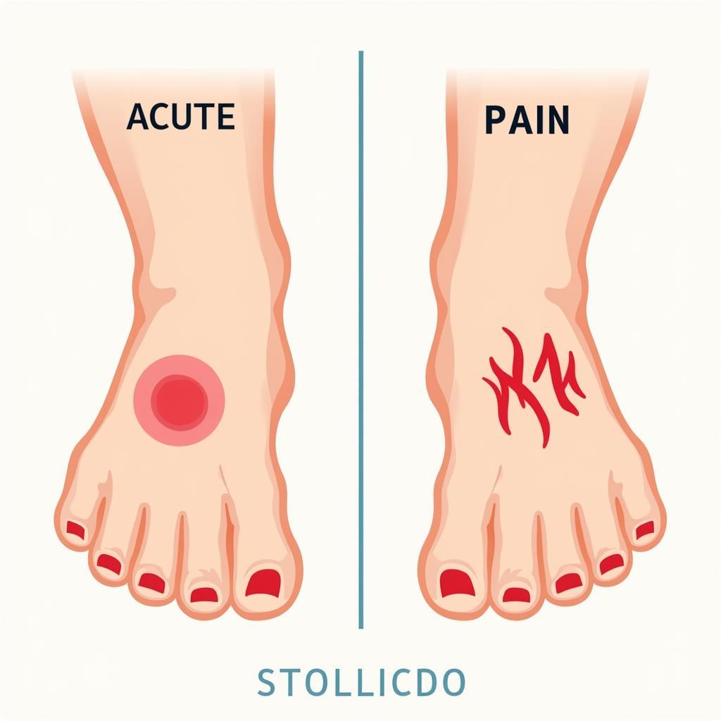 Understanding Inflammation