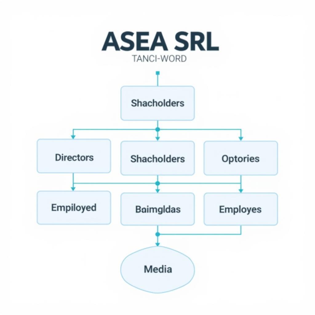 Company Structure of ASEA SRL