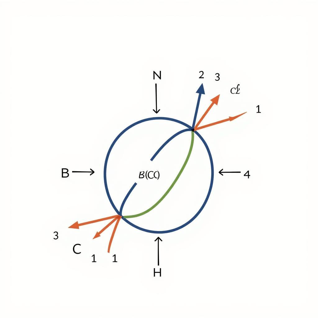 Types of Unit Cells