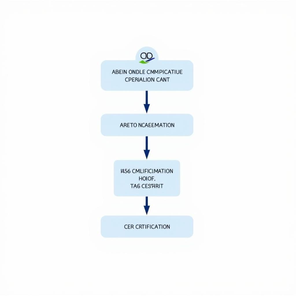 ASEAN T4 Certification Process Flowchart