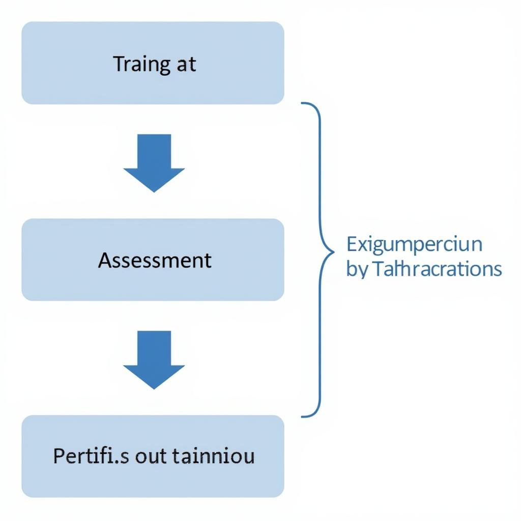 ASEAN Technician Certification Process