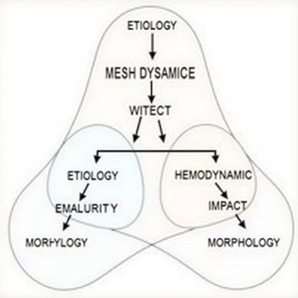 ASEAN Valvular Classification Diagram