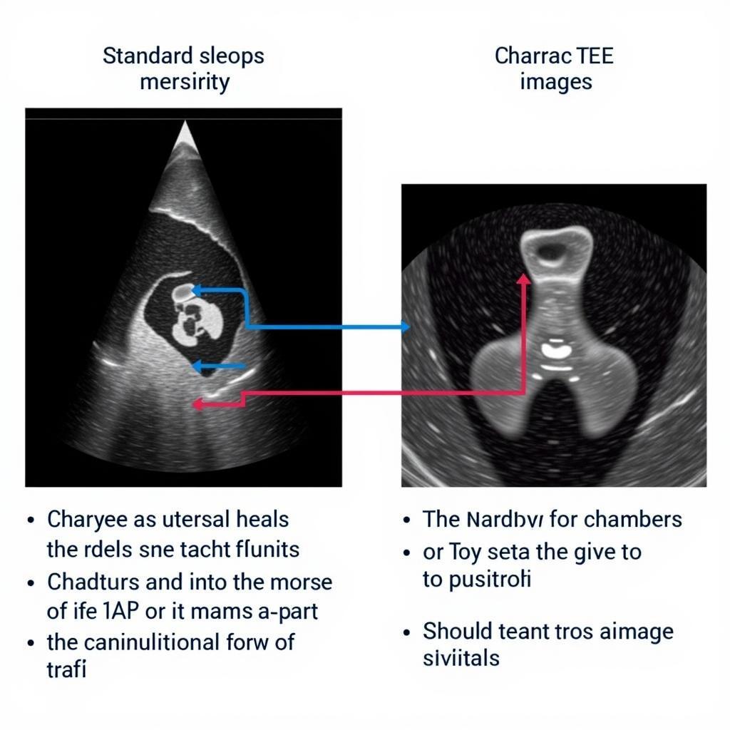 Benefits of ASE TEE in Cardiology