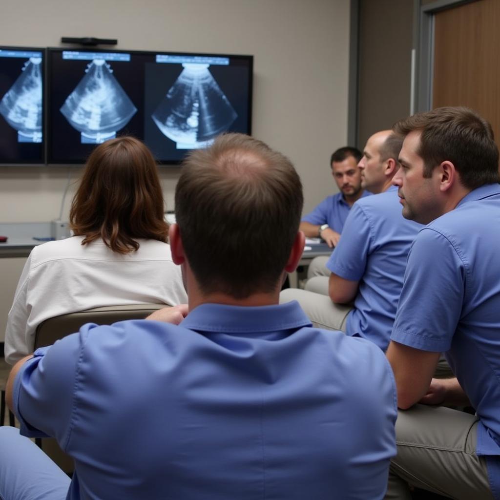 Cardiologists Reviewing Echocardiograms