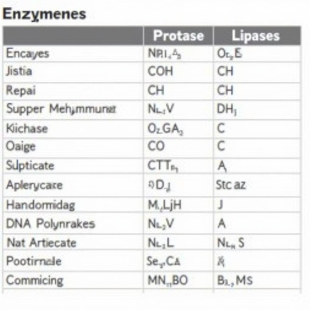 Examples of Common Enzymes