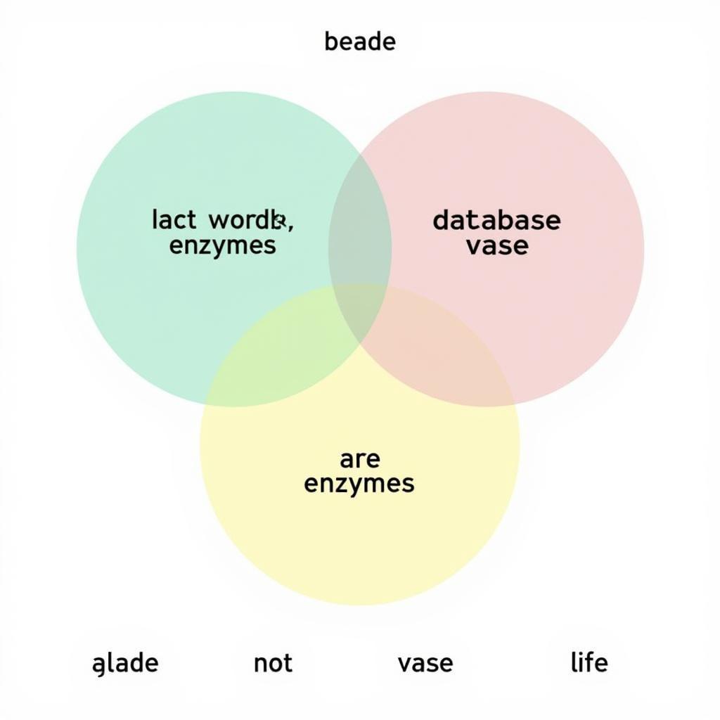 Common Misconceptions About "ase" Words