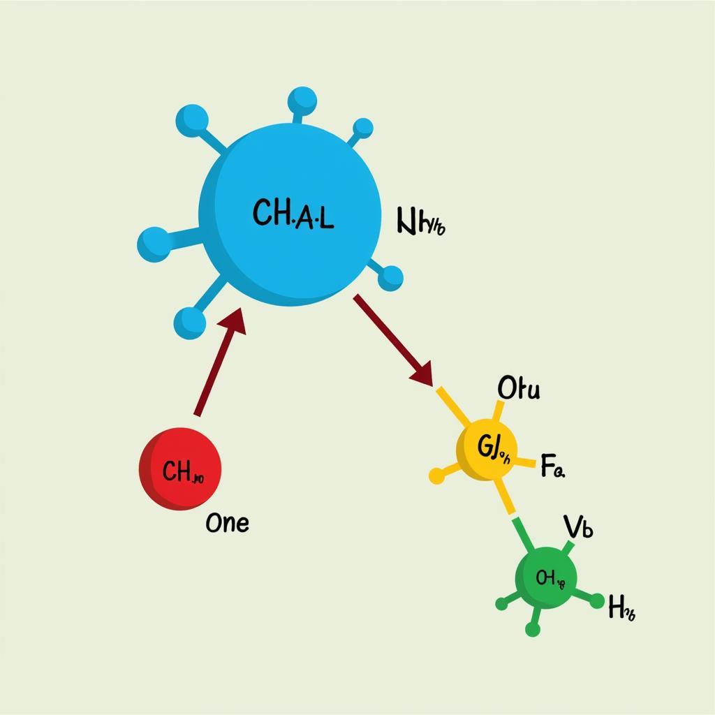 Enzyme Action