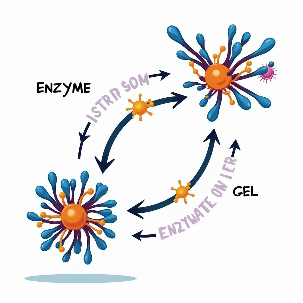 Enzyme catalyzing a chemical reaction