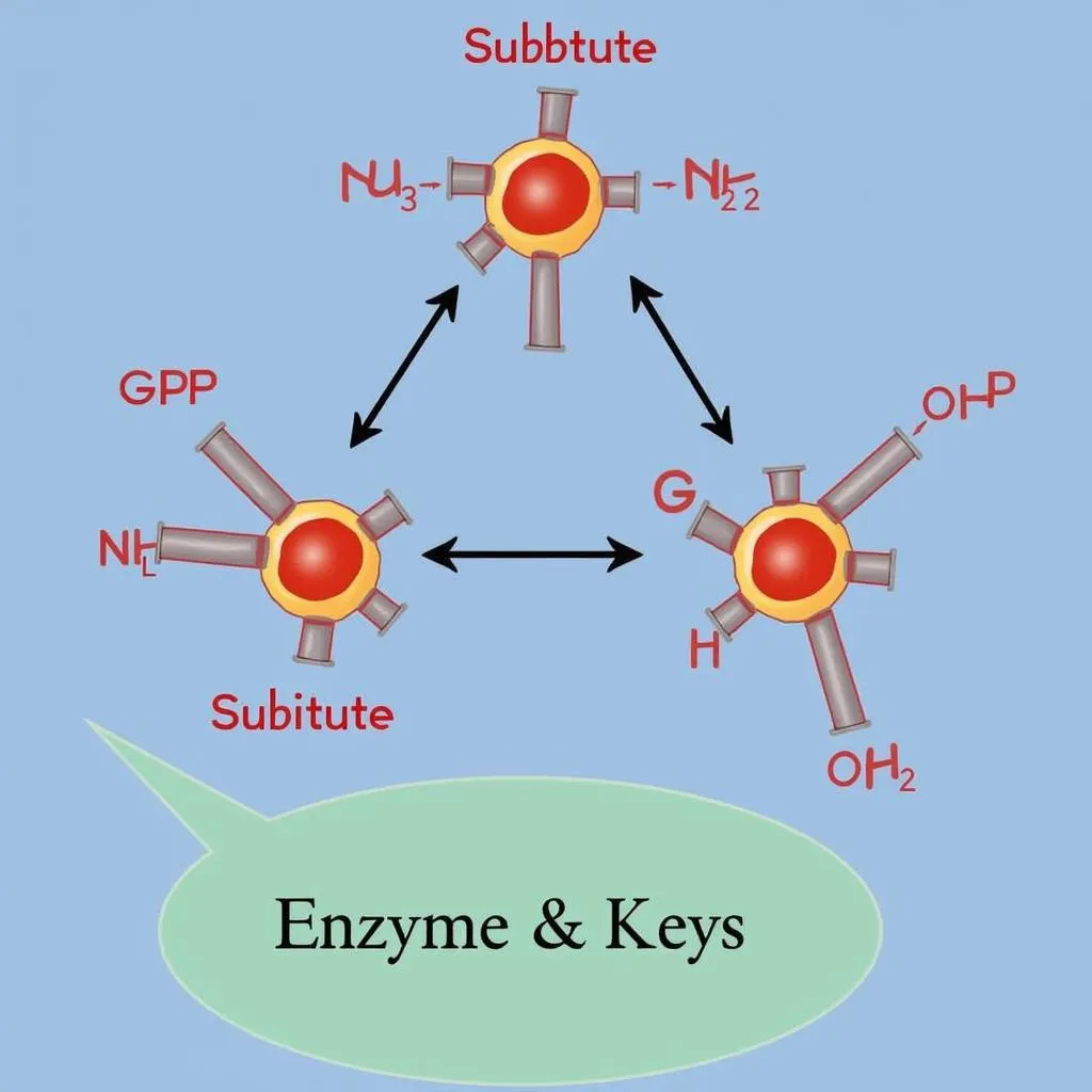 Enzyme Activity and Specificity