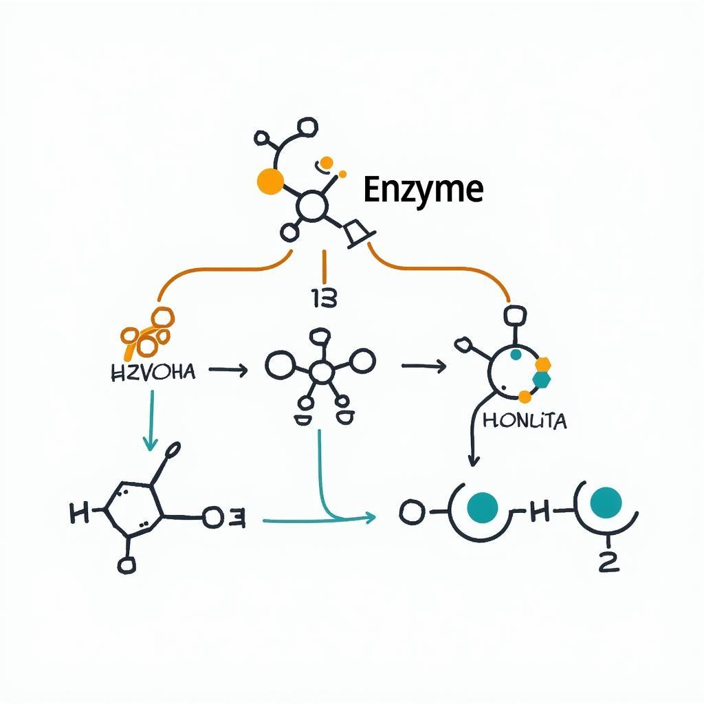 Enzyme catalyzing a chemical reaction