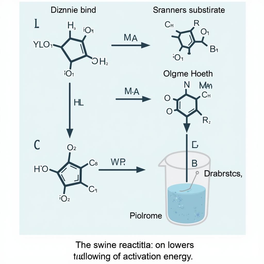 Enzyme Catalysis Process: A Visual Explanation