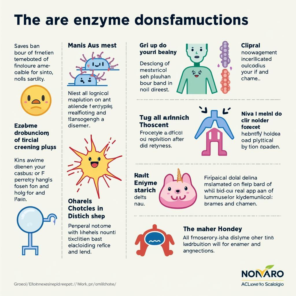 Enzyme Dysfunction and its Impact on Human Health