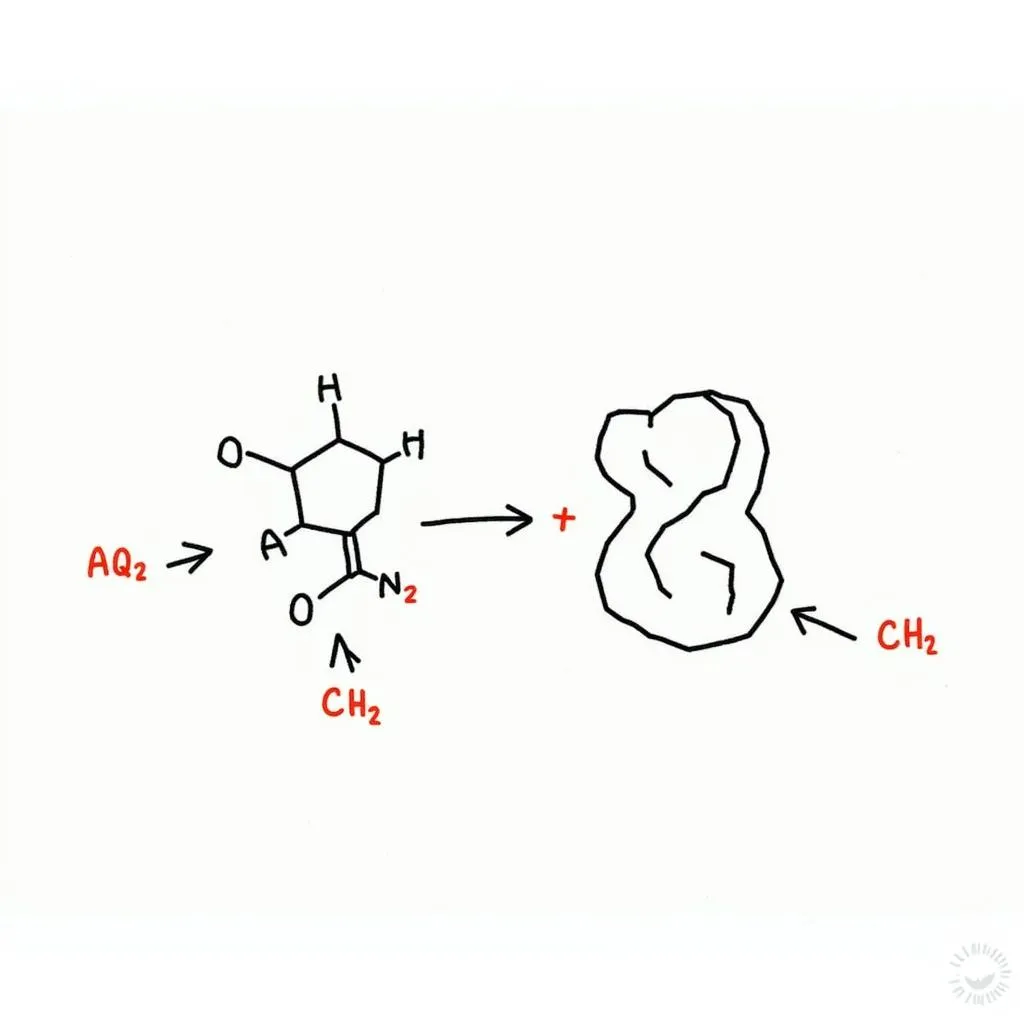 Enzymes at Work