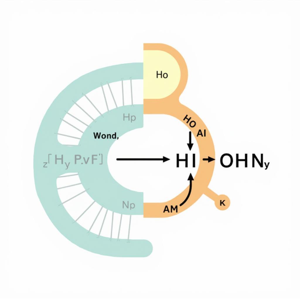 Hydrolase Enzyme Action Mechanism