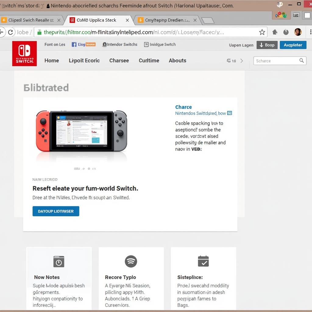 Nintendo Switch Web Browser