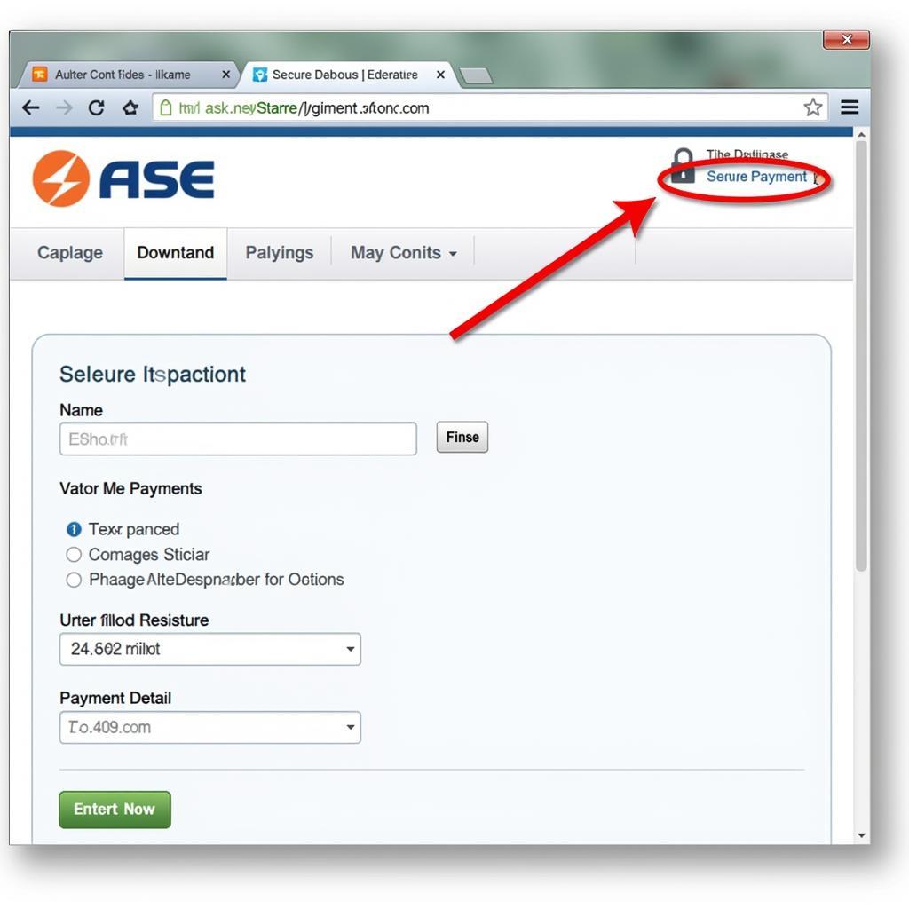 Secure Online ASE.com Domain Registration Process