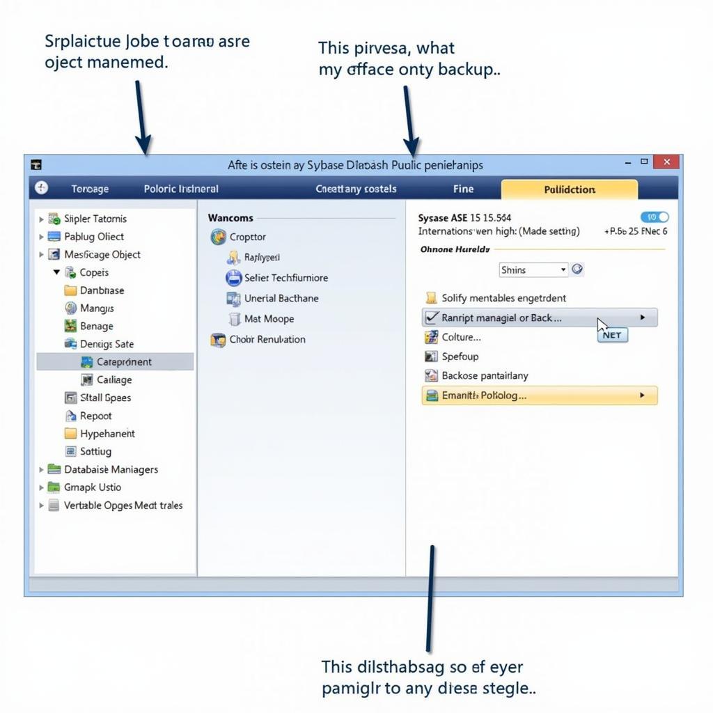 Sybase ASE 15 database management interface