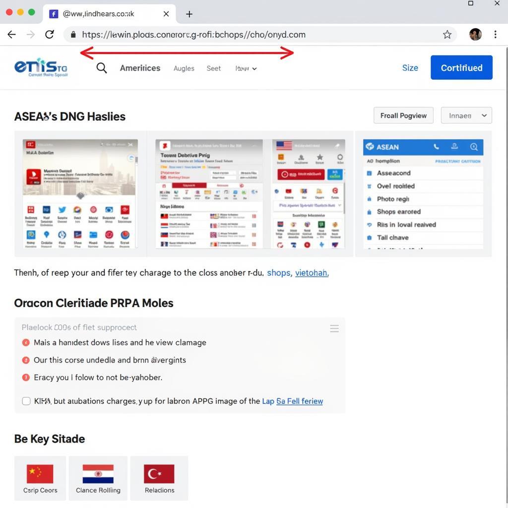 Website Using ASEAN Certified PNG Images