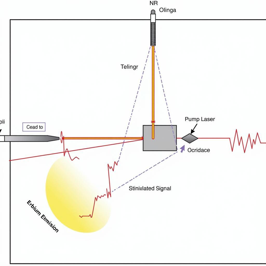 Working Principle of ASE EDFA