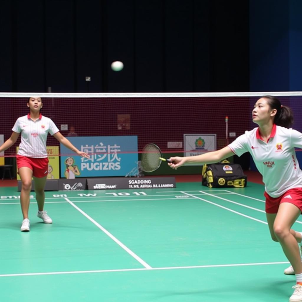 10th ASEAN School Games Badminton Competition