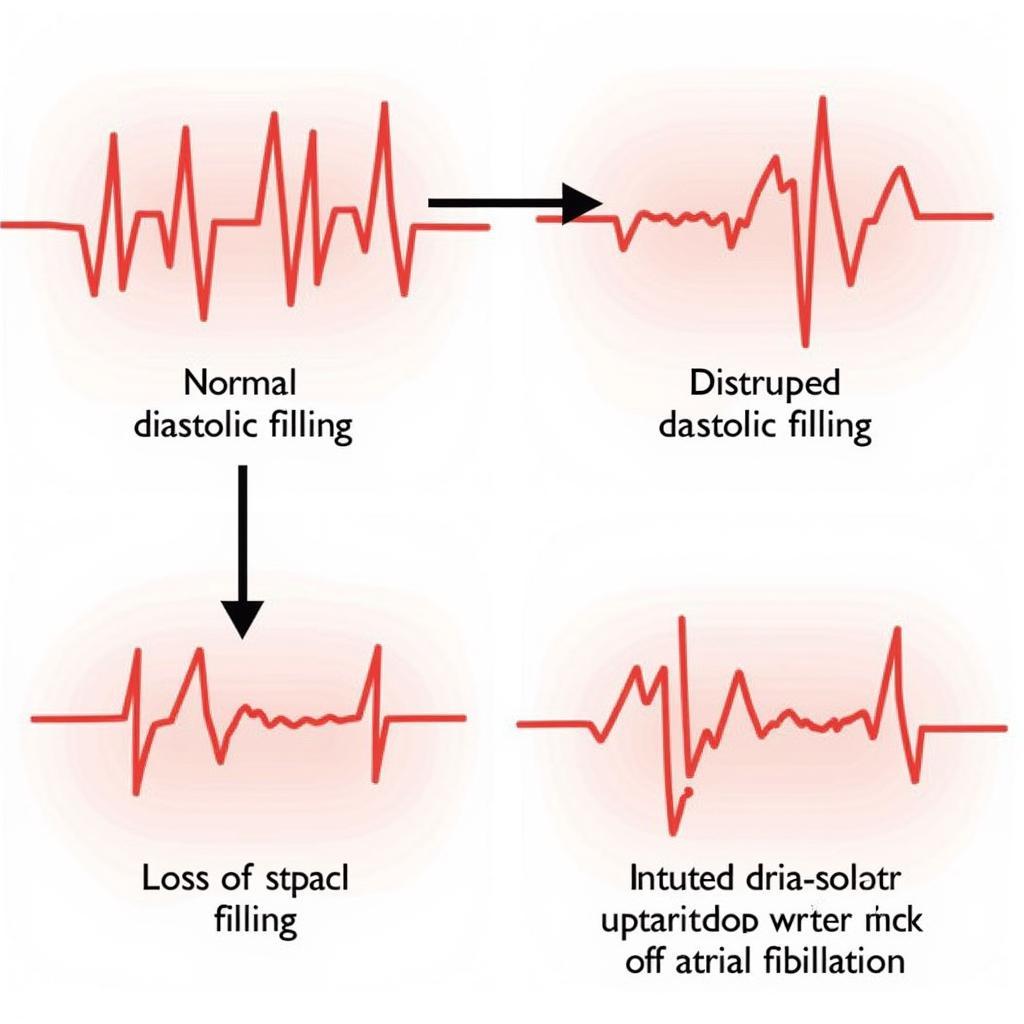 Impact of AFib on Diastolic Function