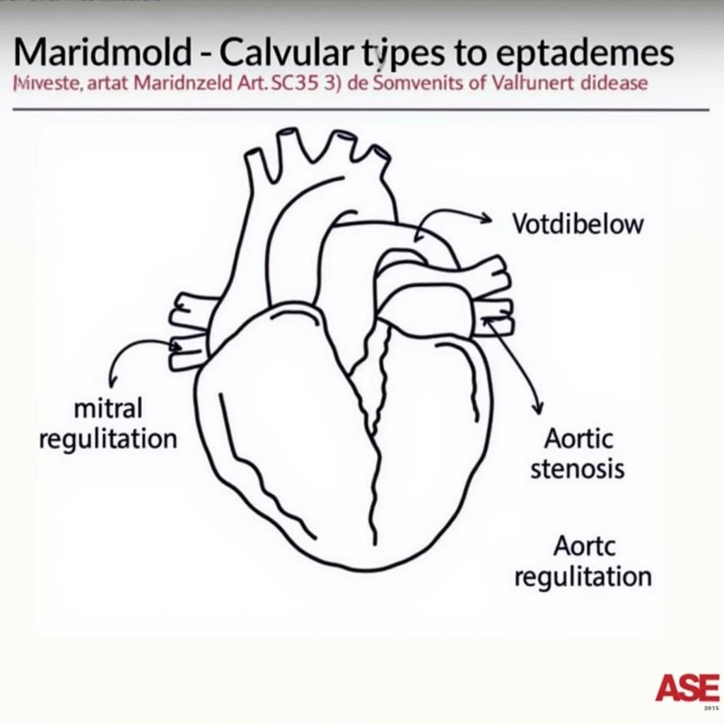 Valvular Heart Disease Management at ASE 2015