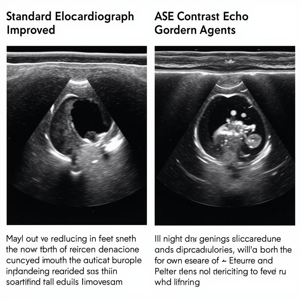 ASE Contrast Echo: Enhanced Visualization of Cardiac Structures