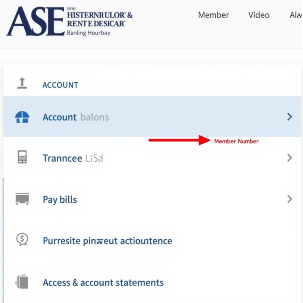 ASE Credit Union Online Banking Dashboard