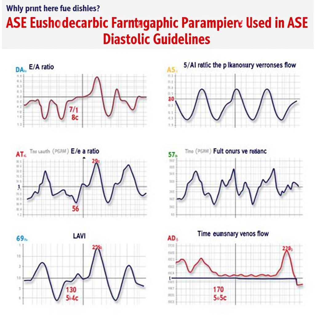 Key Parameters in ASE Diastolic Guidelines