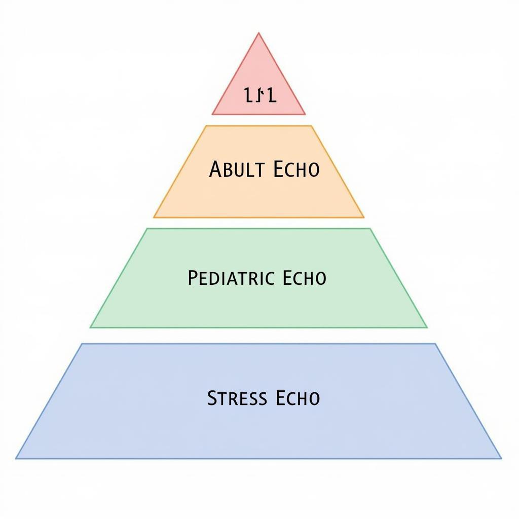 ASE Echo Exam Structure Illustration