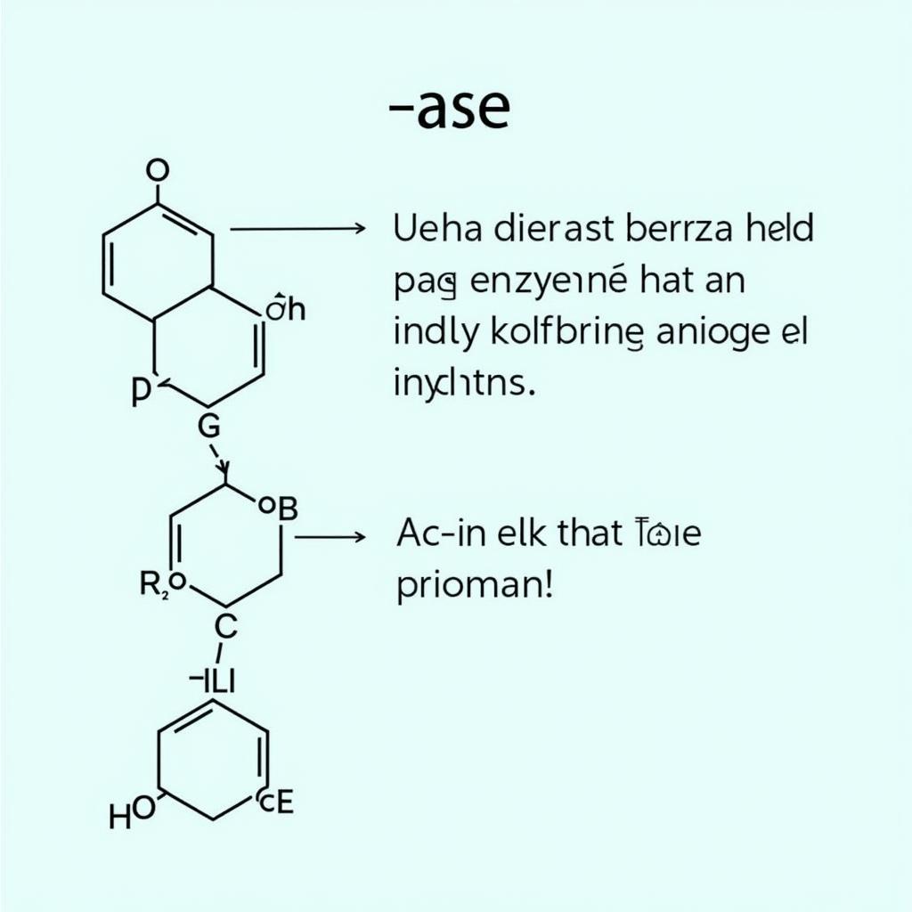 The role of the "-ase" suffix in denoting enzymes in Spanish