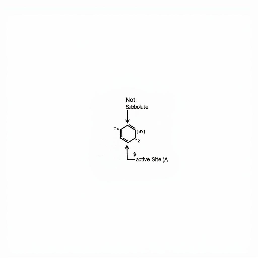 Diagram illustrating the function of ase proteins