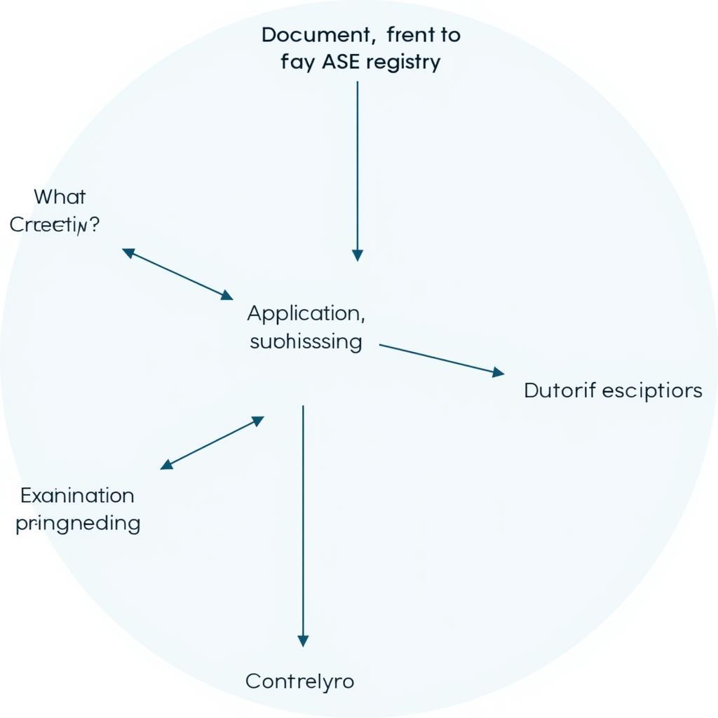 ASE Registry Application Process