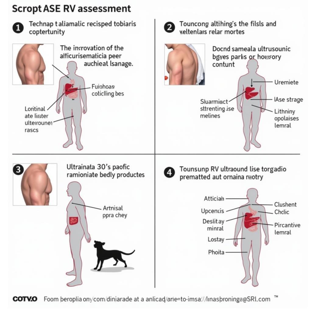 ASE RV Assessment Process