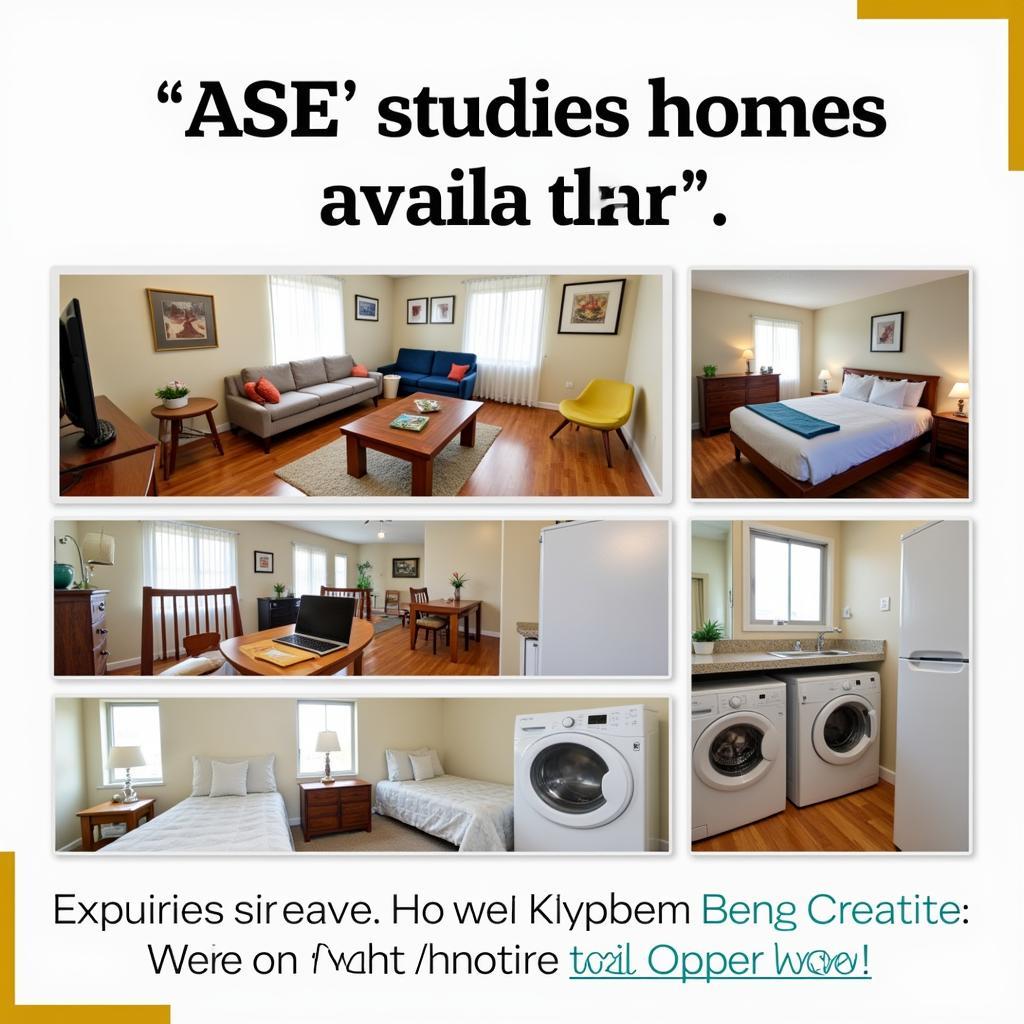 ASE Studies Home Amenities and Facilities