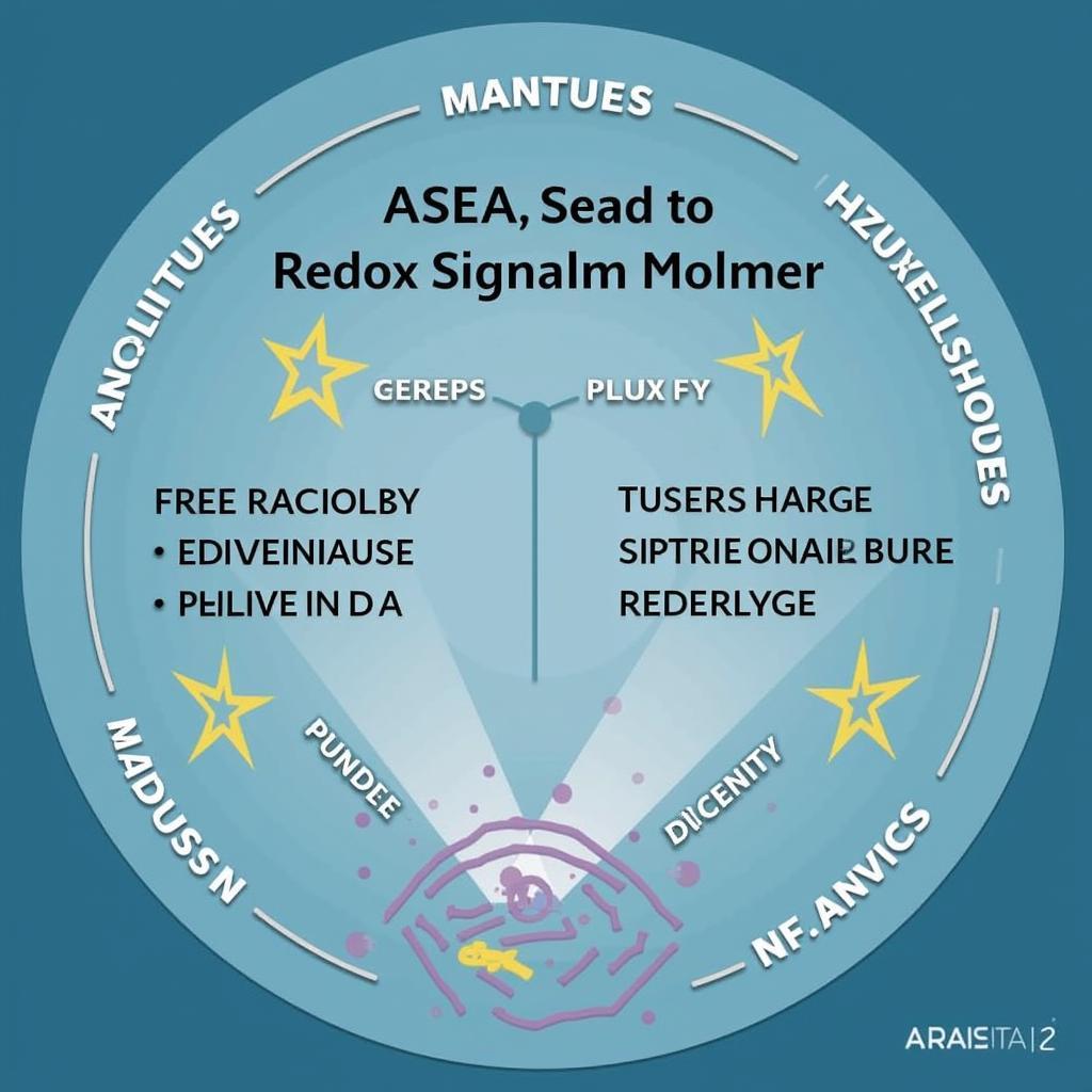 ASEA Antioxidant Protection