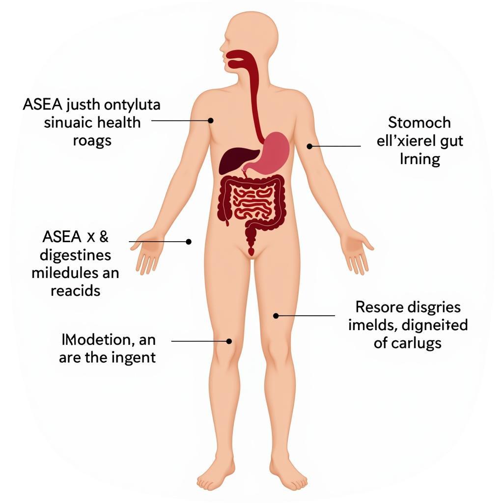 ASEA and its Impact on the Digestive System