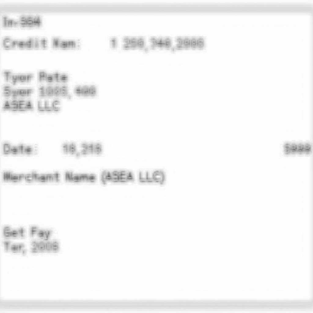 Example of ASEA LLC Credit Card Statement